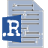 R code file icon