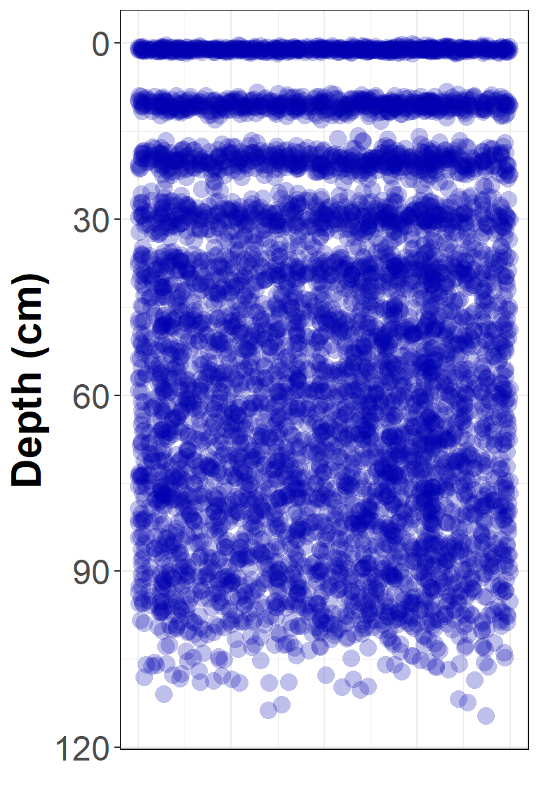 Figure 2. Simulated solute distribution at all time steps at once!